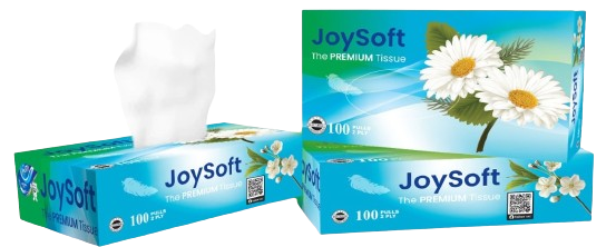 JoySoft Box Tissue  (100 Pulls)